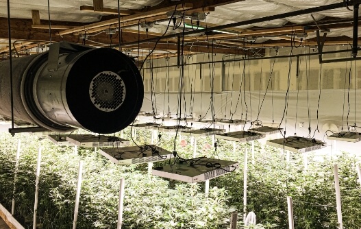A Deep Dive into American-Made Full Spectrum LED Grow Lights for Thriving Agriculture